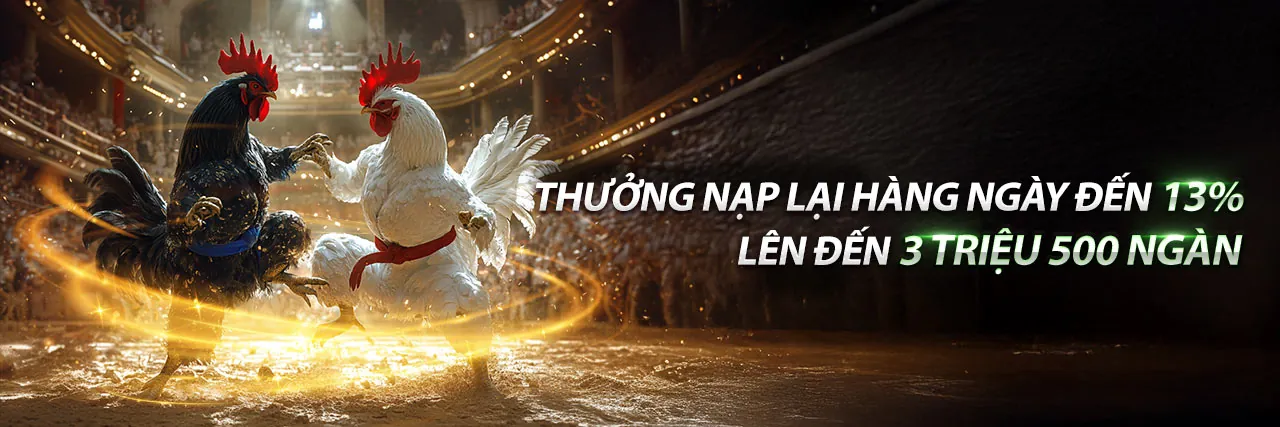 Đá Gà Trực Tiếp 15 Tháng 7 – Trải Nghiệm Cá Cược Đỉnh Cao